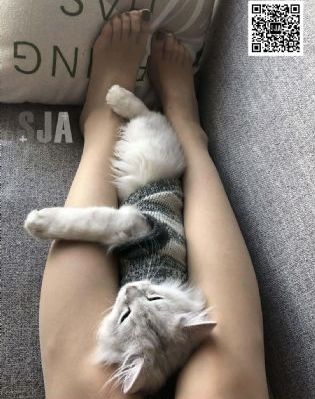 冷血人狼