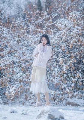 女婿难当